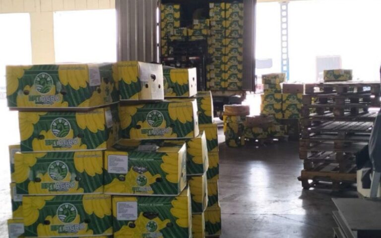 1de09e1f-753c-3f17-9550-e071ad02a5e1_850