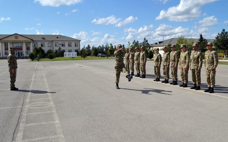 a03fe666-8107-359f-9225-cb3954f13d1d_850