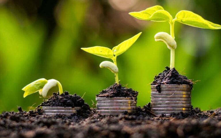 456ff3f5-fb11-3b32-b66d-eb8885a9b48f_850