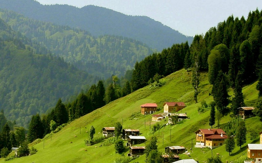 a60c51d8-f487-38b5-958c-47af1811a6ec_850