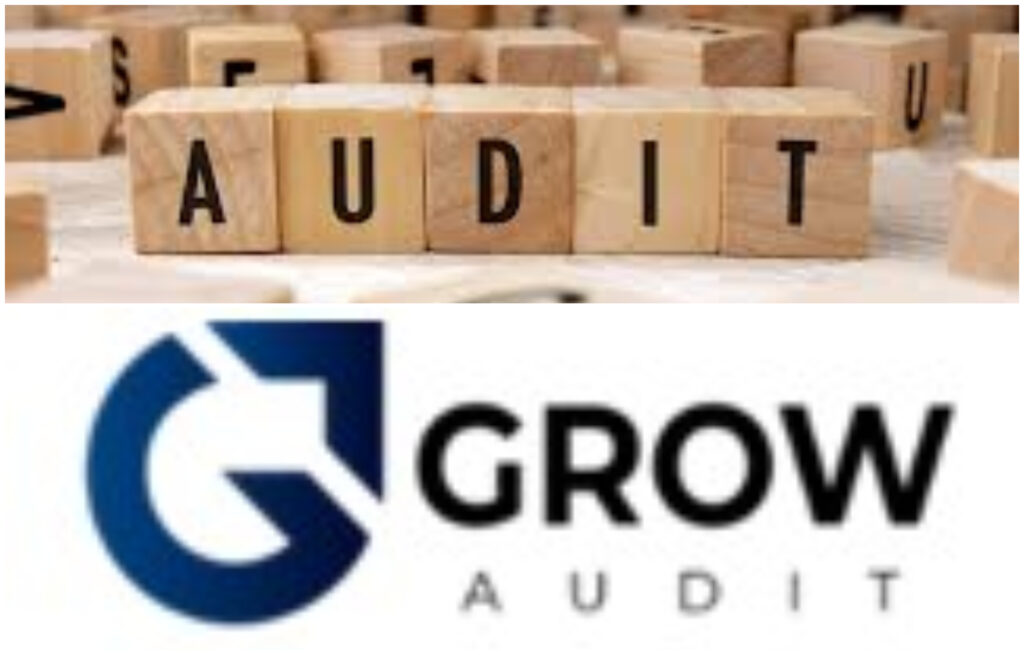 grov-audit