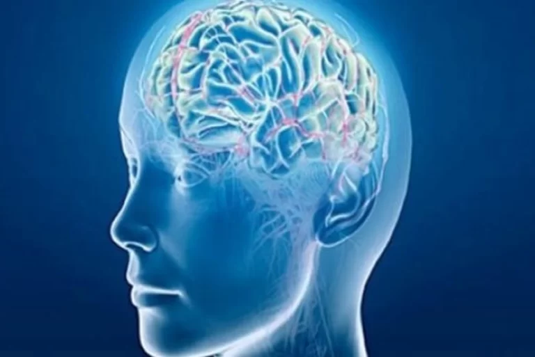 398070c1-b57f-439a-846a-e47cd259b0a9_825