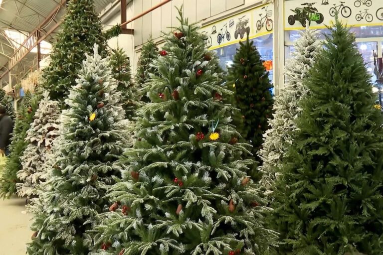 2025-12-26-18-16-19s5EFjbr9ZzPZvaKEoJJ3_file