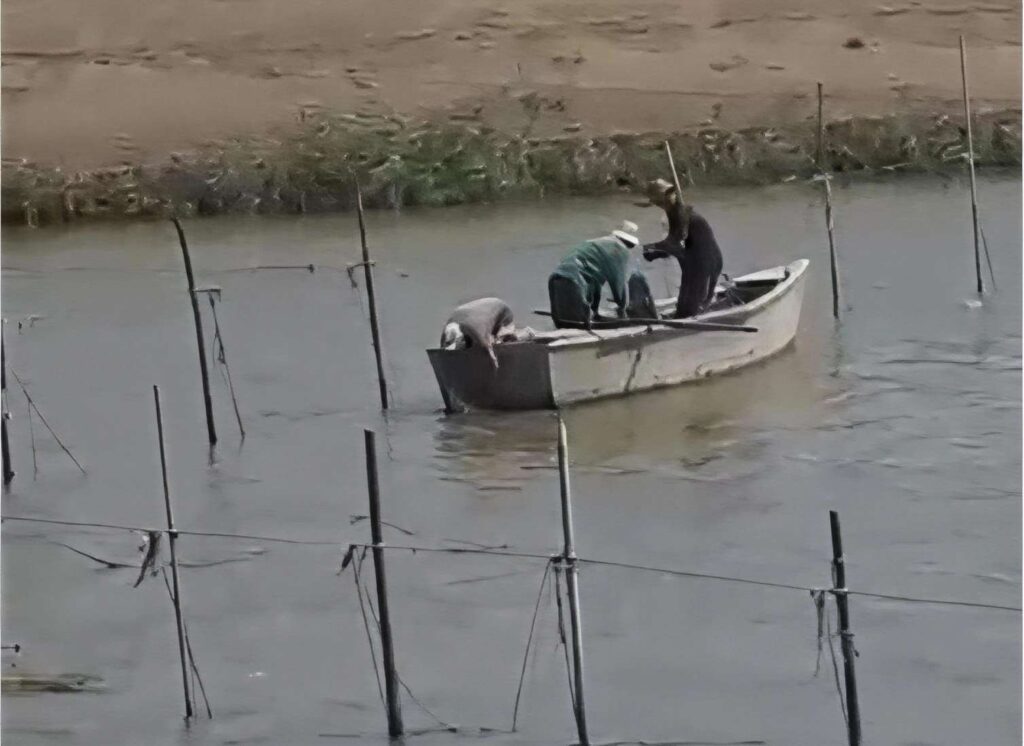 balıqcı