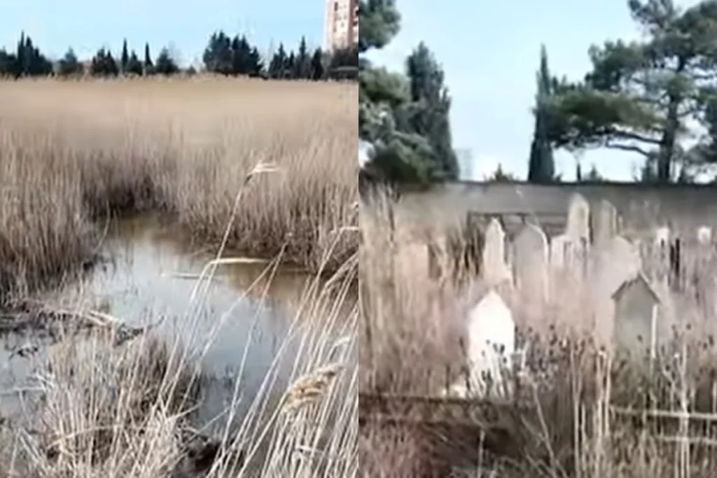 d9c7d4d6643747acb88420912c0a2354_v4nNaGD1561VRJJSA6hkJLkX6M8P8oMQfQrXJxmk_1200