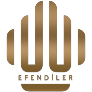 logo-efendi
