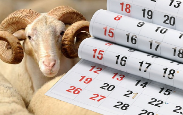 bayram_qurban_1211646