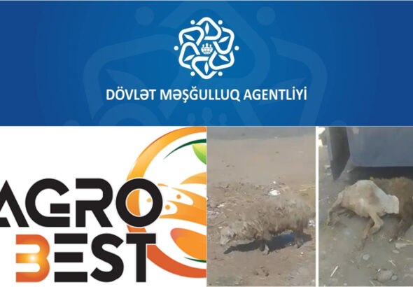 dma-agro