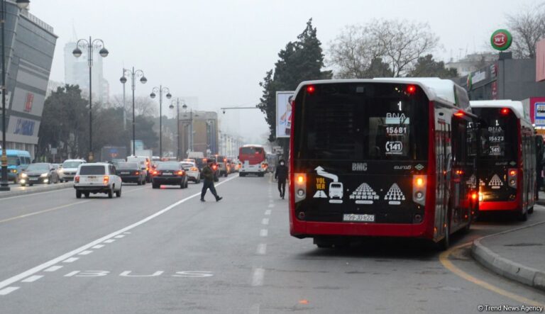 bakubus_bkk_140121