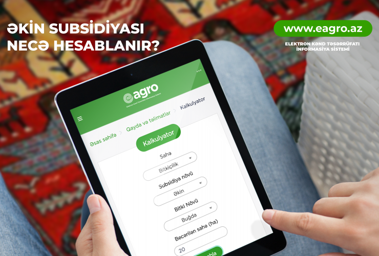 subsidiya